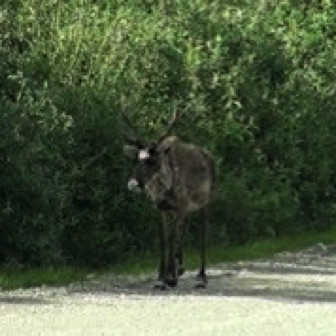 Screen Shot 2016-07-14 at 8.17.54 PM.jpg